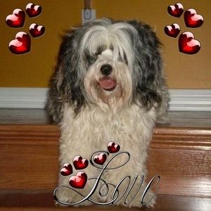 Meet your Posher, Karen